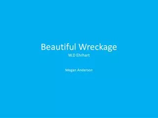 Beautiful Wreckage W.D Ehrhart