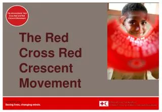 the red cross red crescent movement