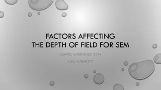 Factors affecting the Depth of Field for SEM