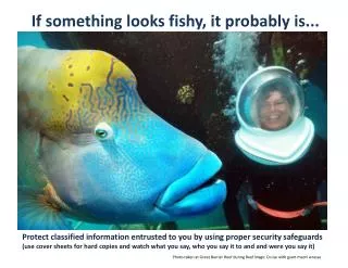 If something looks fishy, it probably is...