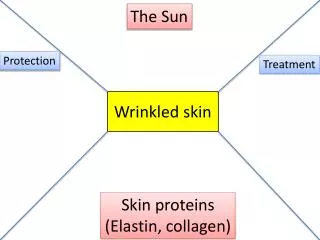 Wrinkled skin