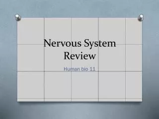 Nervous System Review
