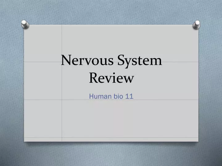 nervous system review