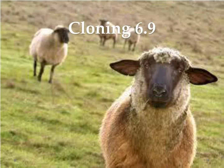 cloning 6 9