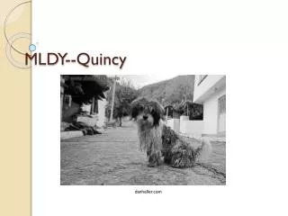 MLDY--Quincy