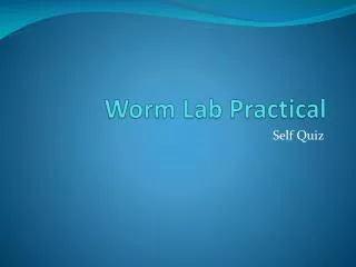 Worm Lab Practical