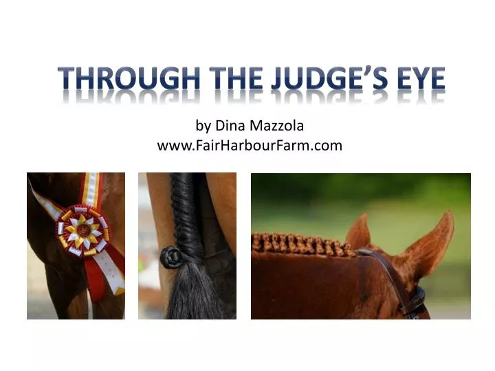 through the judge s eye