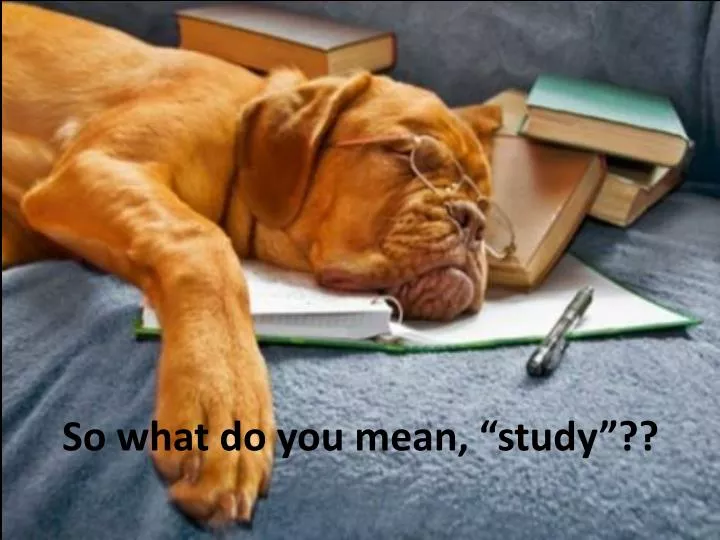 so what do you mean study