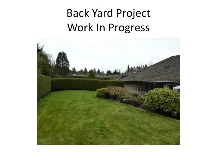 back yard project work in progress