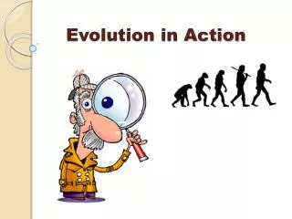 Evolution in Action