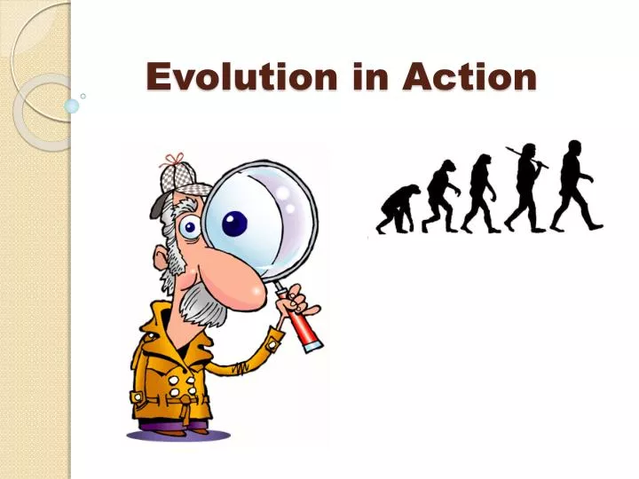 evolution in action