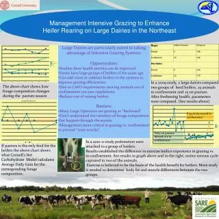 Management Intensive Grazing to Enhance Heifer Rearing on Large Dairies in the Northeast