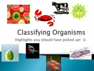 Classifying Organisms