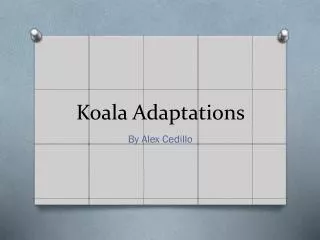 Koala Adaptations