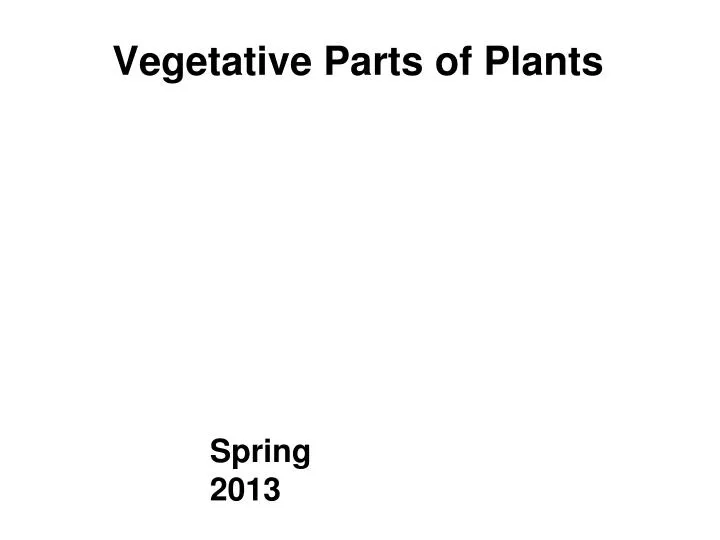 vegetative parts of plants