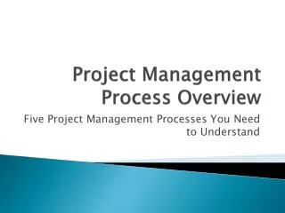 Project Management Process Overview