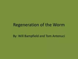 Regeneration of the Worm