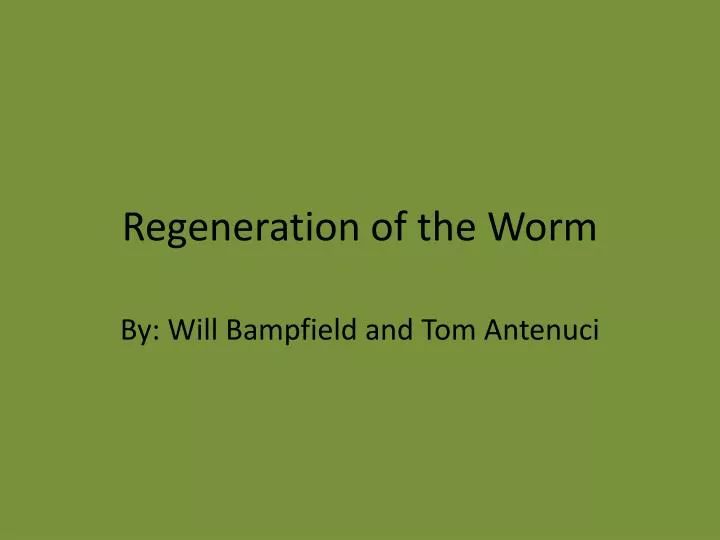 regeneration of the worm
