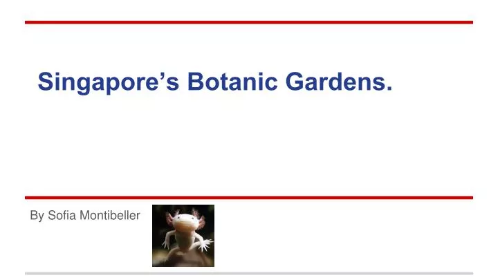 singapore s botanic gardens
