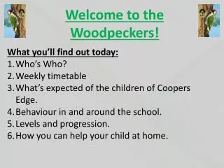Welcome to the Woodpeckers!