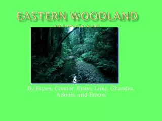 Eastern Woodland Indians