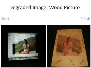 Degraded Image: Wood Picture