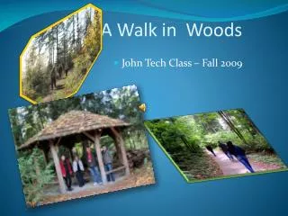 A Walk in Woods