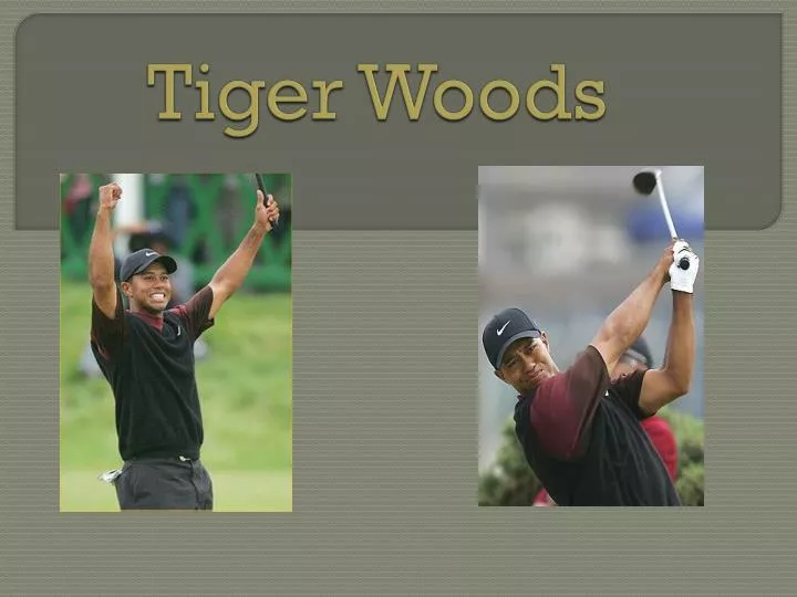 tiger woods