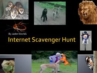 Internet Scavenger Hunt