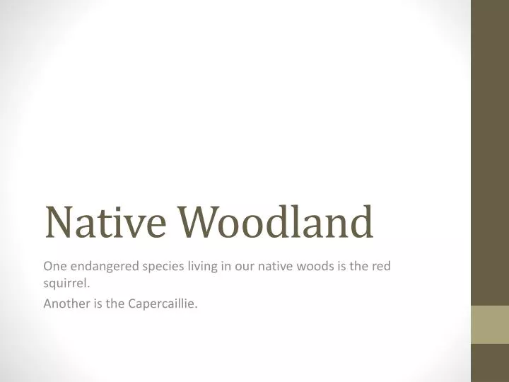 native woodland