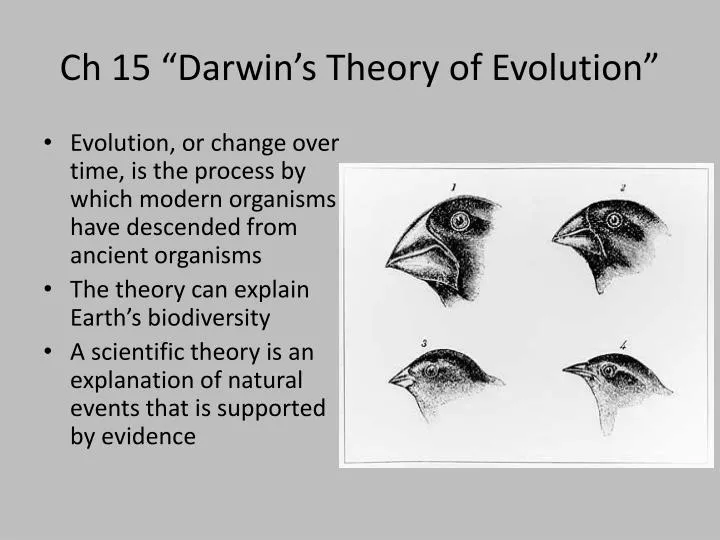 ch 15 darwin s theory of evolution