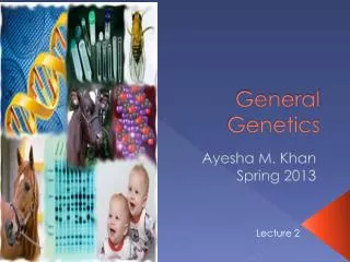 General Genetics