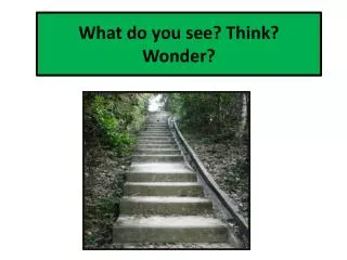 what do you see think wonder