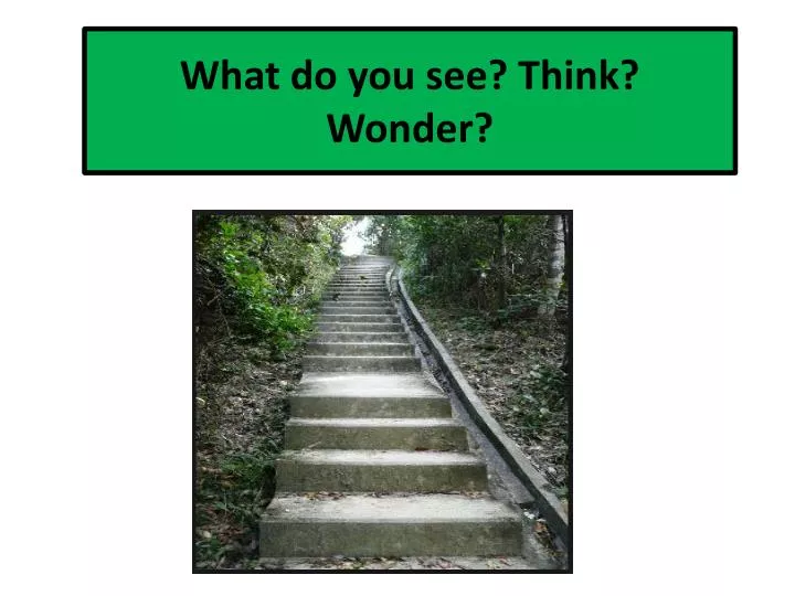 what do you see think wonder
