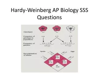 Hardy-Weinberg AP Biology SSS Questions