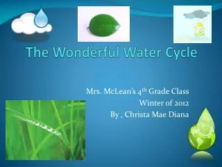 The Wonderful Water Cycle