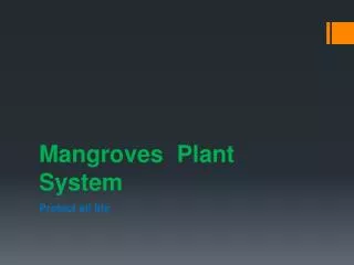 Mangroves Plant System