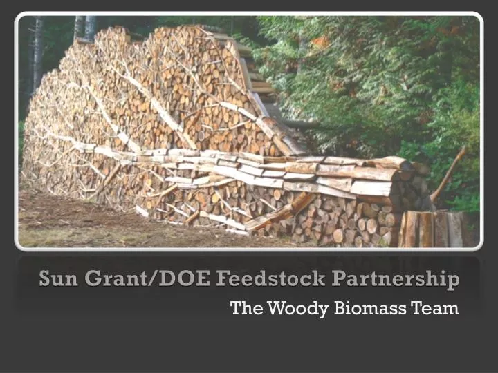 sun grant doe feedstock partnership