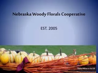 Nebraska Woody Florals Cooperative