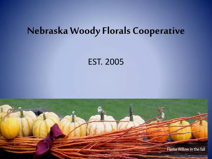 nebraska woody florals cooperative
