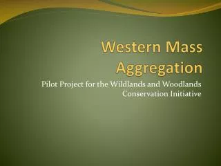 Western Mass Aggregation
