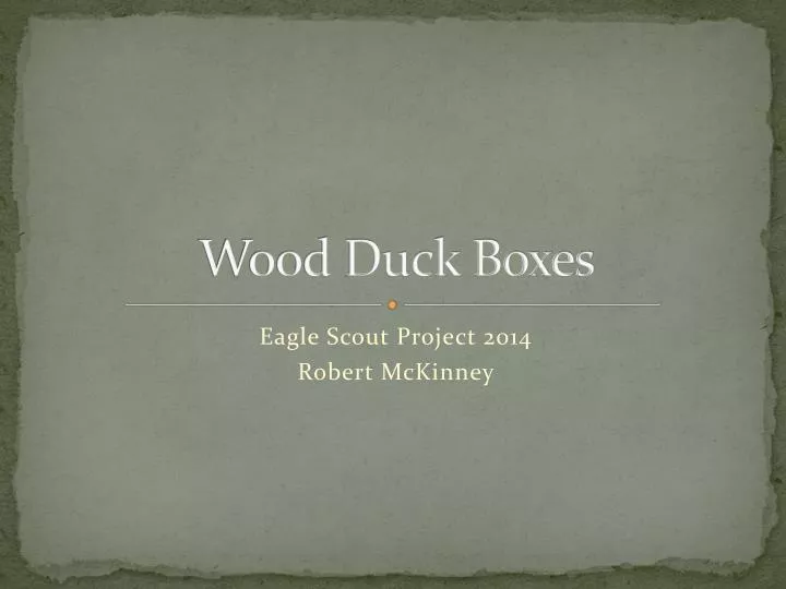 wood duck boxes
