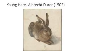Young Hare- Albrecht Durer (1502)