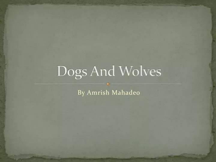 dogs and wolves