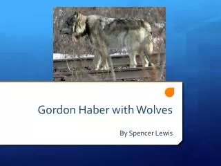 Gordon Haber with Wolves