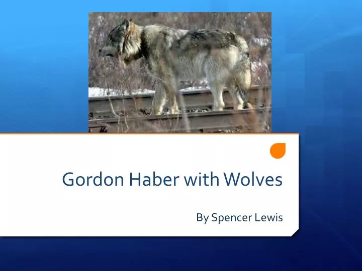 gordon haber with wolves