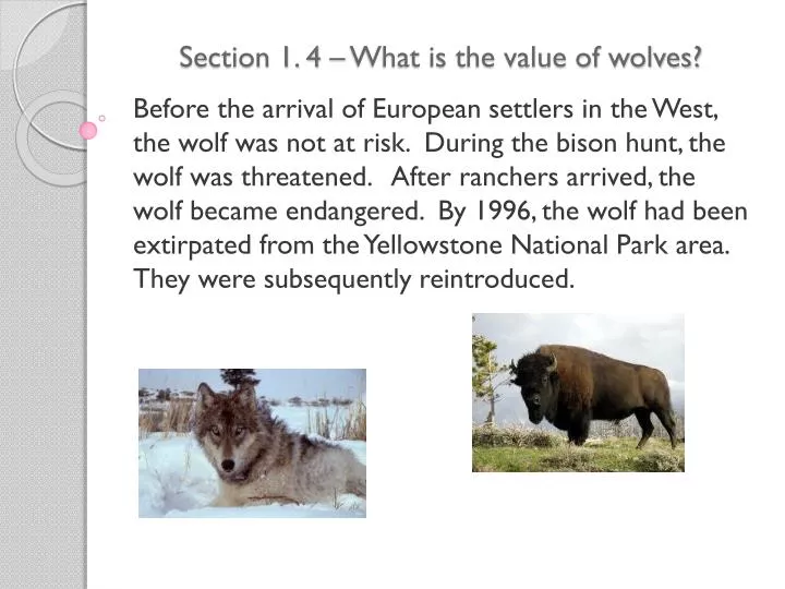 section 1 4 what is the value of wolves