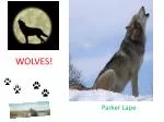 WOLVES! - slide 1