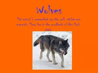 Wolves