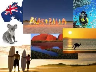 Animals of Australia